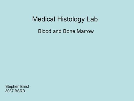 Medical Histology Lab Blood and Bone Marrow Stephen Ernst 3037 BSRB.