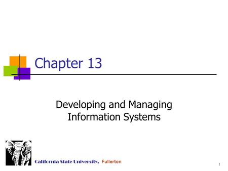 1 California State University, Fullerton Chapter 13 Developing and Managing Information Systems.