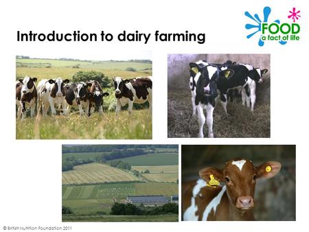 © British Nutrition Foundation 2011 Introduction to dairy farming.