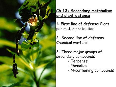 Ch 13: Secondary metabolism and plant defense