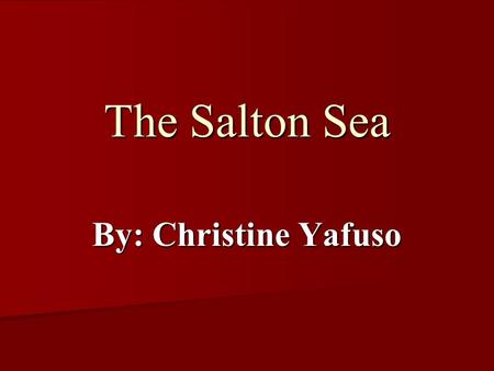 The Salton Sea By: Christine Yafuso. Background Located in Southeastern California Located in Southeastern California About 1000 km 2 in size About 1000.
