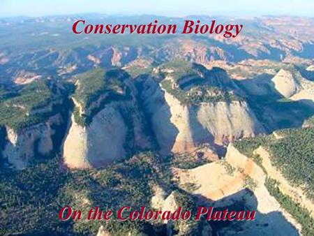 Conservation Biology On the Colorado Plateau. Purpose: To provide an organization linking the region's widely dispersed scientific community, and others.