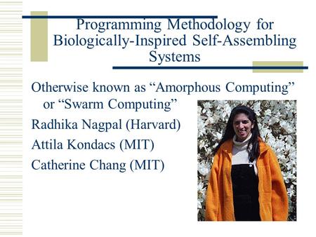 Programming Methodology for Biologically-Inspired Self-Assembling Systems Otherwise known as “Amorphous Computing” or “Swarm Computing” Radhika Nagpal.
