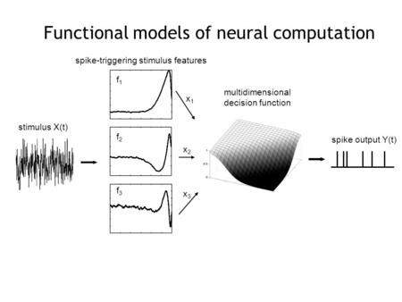 Spike-triggering stimulus features stimulus X(t) multidimensional decision function spike output Y(t) x1x1 x2x2 x3x3 f1f1 f2f2 f3f3 Functional models of.