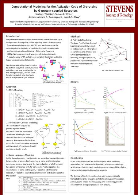 Computational Modeling for the Activation Cycle of G-proteins by G-protein-coupled Receptors Student: Yifei Bao 1, Tommy E. White 2, Advisor: Adriana B.