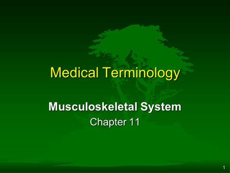 1 Medical Terminology Musculoskeletal System Chapter 11.