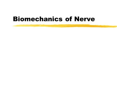 Biomechanics of Nerve. Spinal Peripheral Nerves zNerve fibers z Connective tissue zVascular structures.