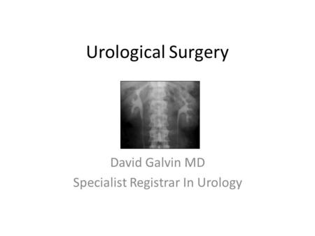 Urological Surgery David Galvin MD Specialist Registrar In Urology.