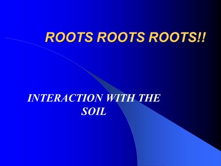 ROOTS ROOTS ROOTS!! INTERACTION WITH THE SOIL. ROOTS A. Roots are the first organ to emerge from a germinated seed B. Root systems 1. Taproot- Single.