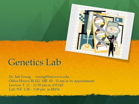 Genetics Lab Dr. Jeff Young Office Hours: BI 412 MR 10 - 11 am or by appointment Lecture: T 11 – 11:50 pm in AW410 Lab: WF 1:30 – 3:30.