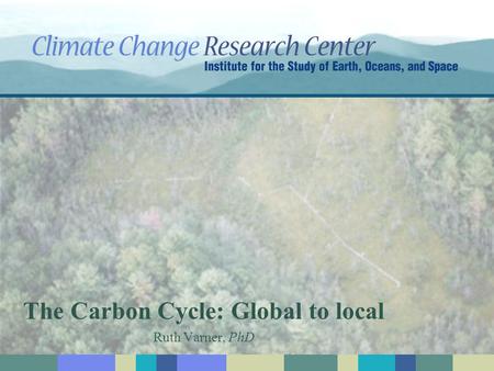The Carbon Cycle: Global to local Ruth Varner, PhD.