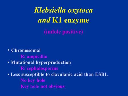 Klebsiella oxytoca and K1 enzyme