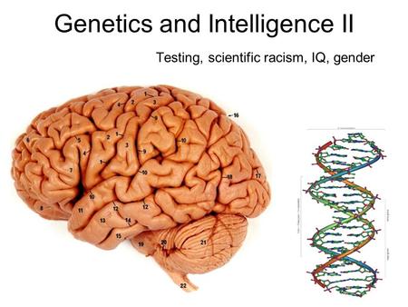 Genetics and Intelligence II Testing, scientific racism, IQ, gender.