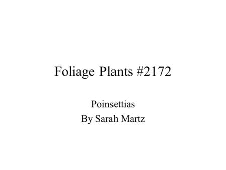 Foliage Plants #2172 Poinsettias By Sarah Martz. Poinsettia Facts Euphorbia pulcherrima Native to Mexico Named after Joel Poinsett –First US ambassador.