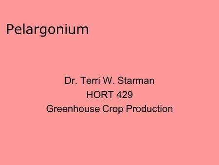 Pelargonium Dr. Terri W. Starman HORT 429 Greenhouse Crop Production.