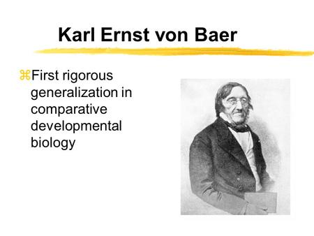 Karl Ernst von Baer zFirst rigorous generalization in comparative developmental biology.