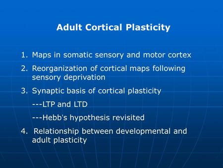 Adult Cortical Plasticity 1.Maps in somatic sensory and motor cortex 2.Reorganization of cortical maps following sensory deprivation 3.Synaptic basis of.
