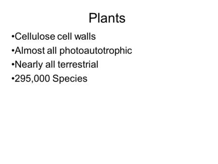Plants Cellulose cell walls Almost all photoautotrophic Nearly all terrestrial 295,000 Species.