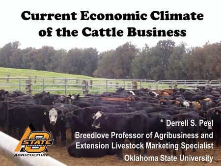 Current Economic Climate of the Cattle Business Derrell S. Peel Breedlove Professor of Agribusiness and Extension Livestock Marketing Specialist Oklahoma.