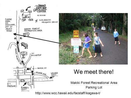 We meet there! Makiki Forest Recreational Area Parking Lot