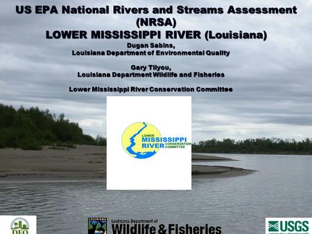US EPA National Rivers and Streams Assessment (NRSA) LOWER MISSISSIPPI RIVER (Louisiana) Dugan Sabins, Louisiana Department of Environmental Quality Gary.