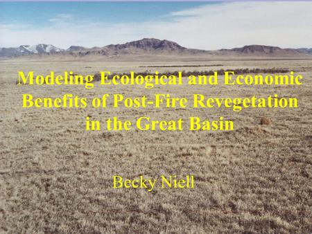 Modeling Ecological and Economic Benefits of Post-Fire Revegetation in the Great Basin Becky Niell.