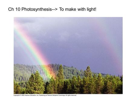 Ch 10 Photosynthesis--> To make with light!. LE 10-2 Plants Unicellular protist Multicellular algae Cyanobacteria Purple sulfur bacteria 10 µm 1.5 µm.