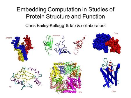Embedding Computation in Studies of Protein Structure and Function Chris Bailey-Kellogg & lab & collaborators Shobha Xiaoduan Wei John Chris Fei.