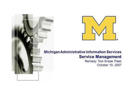Michigan Administrative Information Services Service Management Remedy Tool Sneak Peek October 10, 2007.