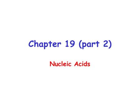 Chapter 19 (part 2) Nucleic Acids. DNA 1 o Structure - Linear array of nucleotides 2 o Structure – double helix 3 o Structure - Super-coiling, stem- loop.
