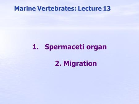 Marine Vertebrates: Lecture 13 1.Spermaceti organ 2. Migration.