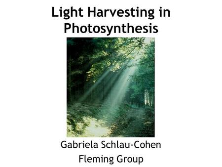 Light Harvesting in Photosynthesis Gabriela Schlau-Cohen Fleming Group.