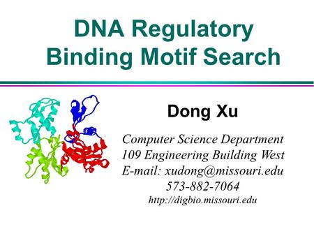 DNA Regulatory Binding Motif Search Dong Xu Computer Science Department 109 Engineering Building West   573-882-7064