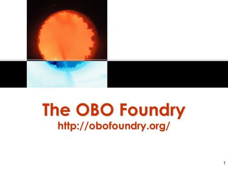 1 The OBO Foundry  2 A prospective standard designed to guarantee interoperability of ontologies from the very start (contrast.