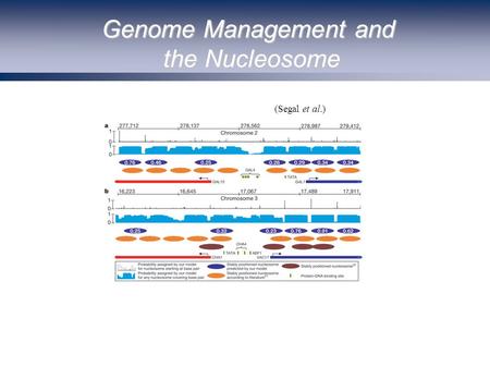 Genome Management and the Nucleosome (Segal et al.)