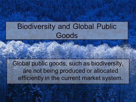 Biodiversity and Global Public Goods Global public goods, such as biodiversity, are not being produced or allocated efficiently in the current market system.