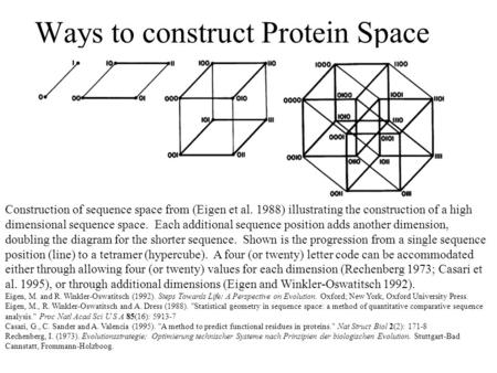 Ways to construct Protein Space Construction of sequence space from (Eigen et al. 1988) illustrating the construction of a high dimensional sequence space.