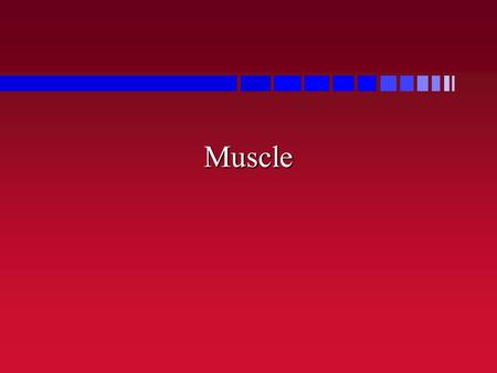 Muscle. What are muscles? n Machines –purpose of machines is to help us do work.