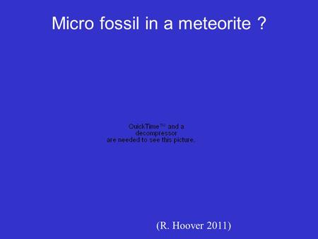 Micro fossil in a meteorite ? (R. Hoover 2011). Lecture 7: Geologic History of Life Oldest signatures of life in sedimentary rocks: Microfossils Molecular.