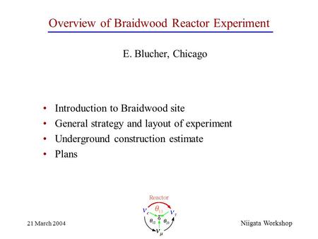 21 March 2004 Overview of Braidwood Reactor Experiment Introduction to Braidwood site General strategy and layout of experiment Underground construction.