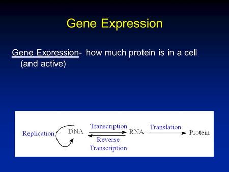 Gene Expression Gene Expression- how much protein is in a cell (and active)