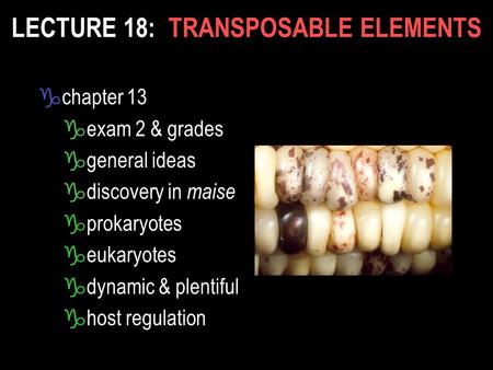 LECTURE 18: TRANSPOSABLE ELEMENTS gchapter 13 gexam 2 & grades ggeneral ideas gdiscovery in maise gprokaryotes geukaryotes gdynamic & plentiful ghost regulation.