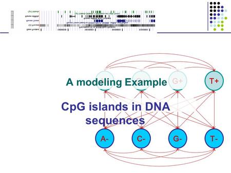 CpG islands in DNA sequences