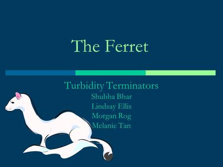 The Ferret Turbidity Terminators Shubha Bhar Lindsay Ellis Morgan Rog Melanie Tan.
