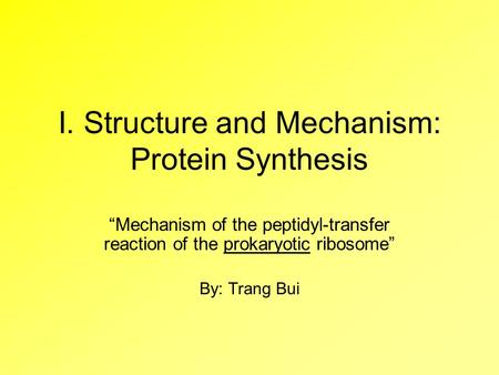 I. Structure and Mechanism: Protein Synthesis “Mechanism of the peptidyl-transfer reaction of the prokaryotic ribosome” By: Trang Bui.