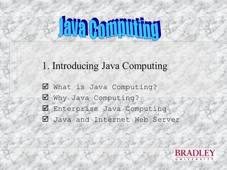 1. Introducing Java Computing  What is Java Computing?  Why Java Computing?  Enterprise Java Computing  Java and Internet Web Server.