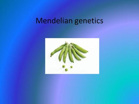 Mendelian genetics. Early beliefs Pangenesis – males and females formed genes in every organ, genes were carried via blood to genitals into children (Hippocrates,