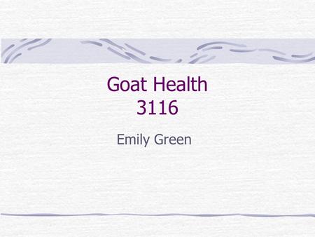 Goat Health 3116 Emily Green. Goat Health Pulse - 83 per minute Respiration - 29 per minute Temperature -103.6 F.