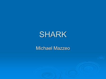 SHARK Michael Mazzeo. SHARK BASICS  There are about 250 species of sharks, ranging from 2-ft to 50-ft. They are found in all seas, but are most abundant.