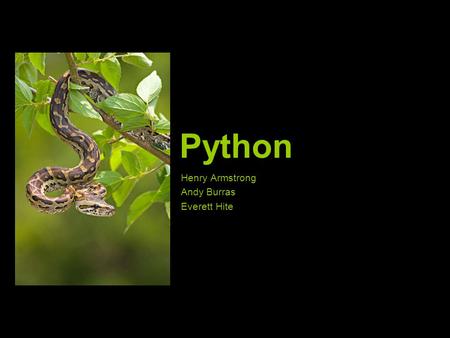 Python Henry Armstrong Andy Burras Everett Hite. History First released in 1991 by Guido van Rossum Designed around a philosophy which emphasized readability.